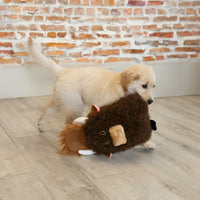 KONG Comfort Jumbo Highland Cow juguete para perros, surtido, X ...
