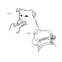 Mikki - Nylon Dog Muzzle
