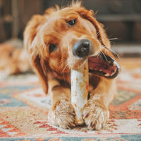 Earth Animal - NoHide Chew, Beef