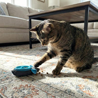 Doc & Phoebe - interactive Indoor Hunting Feeder, 3 Mice Kit