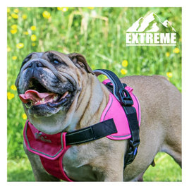 Ancol - Extreme Harness - Pink - X Large