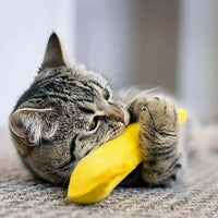 BAM - Catnip Toy Banana