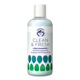 Dorwest - Clean & Fresh Shampoo - 250ml