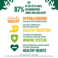 James Wellbeloved Senior Dog, Chicken & Rice