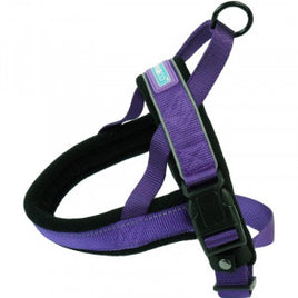 Dog & Co - Reflective & Padded Norwegian Harness - Purple - Large