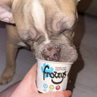 Frozzy's - Original Frozen Yoghurt - 85g - 4pk