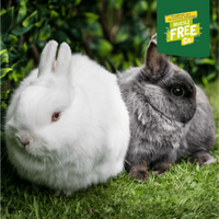 Burgess - Excel Junior & Dwarf Rabbit Nuggets, Mint