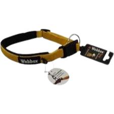 Webbox - Dog Collar - Gold - Medium (42-49cm)