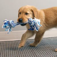 KONG - Rope Stick Puppy - Assorted - Medium