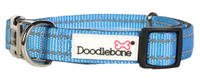 Doodlebone - Padded Collar - Cornflower - Size 1-2