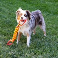 KONG - Dog Maxx Tug - Large