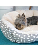 Dream Paws - Scalloped Pet Bed - Small