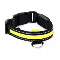 Animal Instincts - Flashing Safety Collar - Assorted Colour - Small (35-40cm)