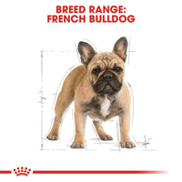 Royal Canin - Adult French Bulldog Dry Food - 3kg