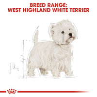 Royal Canin - West Highland White Terrier Adult Food - 3kg