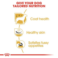 Royal Canin - West Highland Terrier Adult Dog