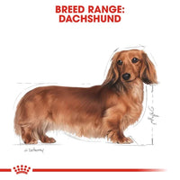 Royal Canin - Adult Dachshund Food - 1.5kg