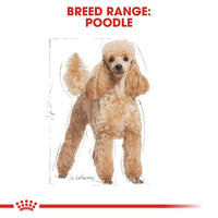 Royal Canin - Poodle Dog Food - 1.5kg