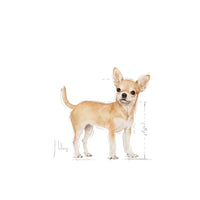 Royal Canin - Adult Chihuahua - 1.5kg