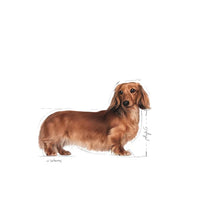 Royal Canin - Adult Dachshund Food - 1.5kg