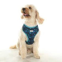 Doodlebone - Originals Pattern Airmesh Harness - Electric Party - Size 2