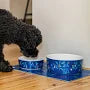 Cath Kidston - Ceramic Pet Bowl, Flora & Fauna