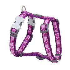 Red Dingo - Breezy Love Purple Harness - Medium