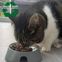 Ancol - Made From Cat Bowl - Asst Colours