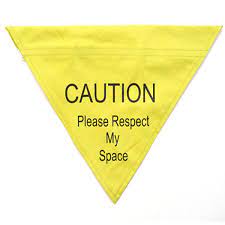 Ancol - Warning (Respect My Space) Bandana - Yellow - M/L