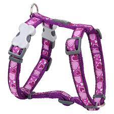 Red Dingo - Breezy Love Purple Harness - Large