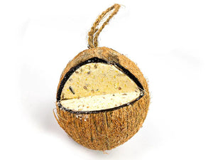 Extra Select - Whole Filled Coconut - Mealworm