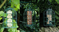 Rosewood - Feeding Time Squirrel Proof Lantern - Peanuts