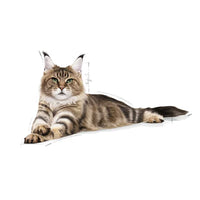 Royal Canin - Adult Maine Coon 31- 2kg