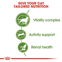 Royal Canin - Outdoor Cat +7 - 400g