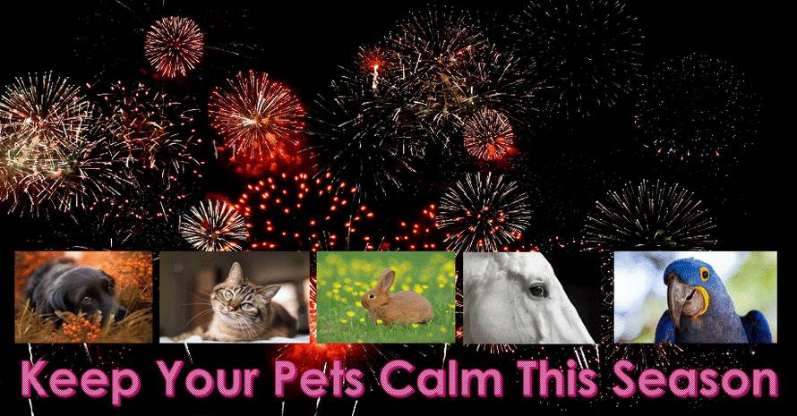 Ross pet supplies 2025