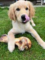 JR Pet Products - Large Ostrich Bone