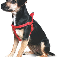 Ancol - Padded Harness - Black - Extra Large
