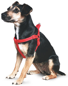 Ancol - Padded Harness - Black - Extra Large
