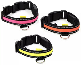Animal Instincts - Flashing Safety Collar - Assorted Colour - Small (35-40cm)