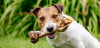 T Forrest & Sons - Pet Snacks Roast Pork Bone