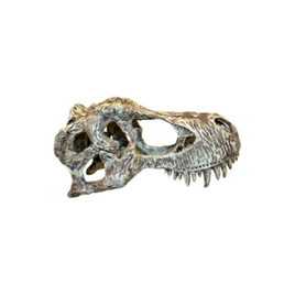 Komodo - T-Rex Skull - Large