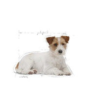 Royal Canin - Mini Ageing Dog 12+ - 1.5kg