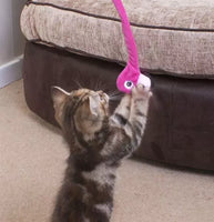 Ministry Of Pets - Frankie The Flamingo Cat Teaser