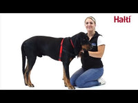 Company Of Animals - Halti Harness - Black - Medium