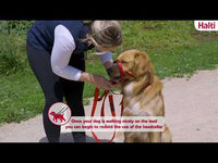 Halti Training Lead - Red