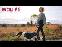 Halti Training Lead - Red