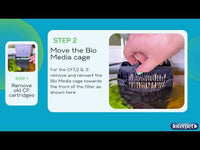 Interpet - Cartridge Filter (CF) Service Kit (1 Month)