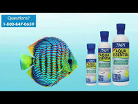 API - Aqua Essentials