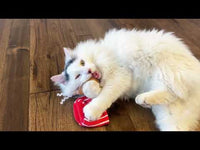 Mad Cat - Go Fish LightUp Teaser