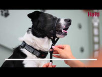 Company Of Animals - Halti Head Collar - Black